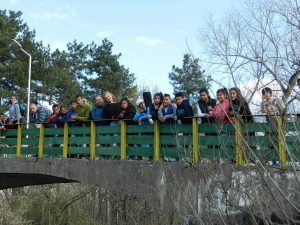 DSCN0267