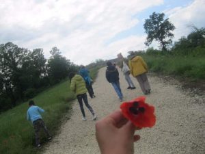 IMG_9168