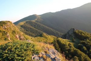 IMG_0407