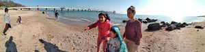 PANO_20190217_110113