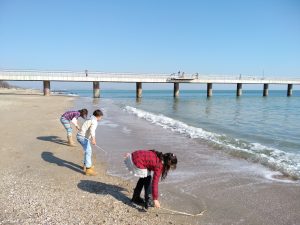 IMG_20190217_104733