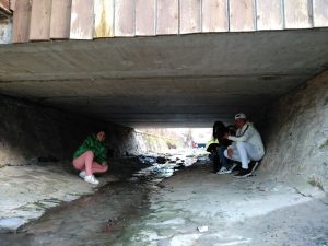 IMG_20190217_171106