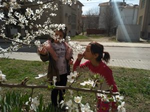 IMG_20190316_121344