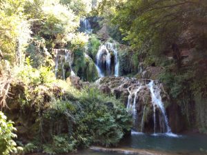 IMG_20190720_151728762
