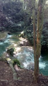 IMG_20190731_153400