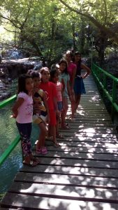 IMG_20190731_153919